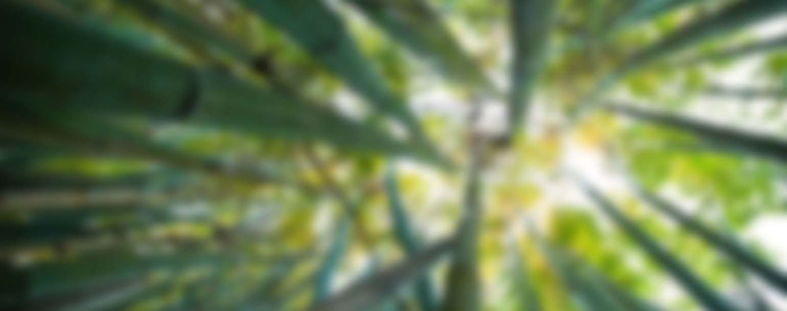 McIntyre Fields and Associates Ameriprise Financial Services, Inc